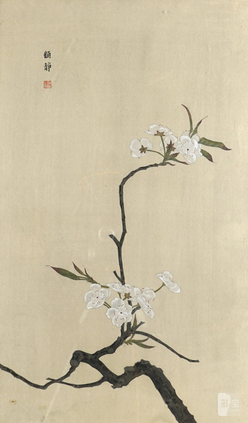    顧靜 花卉